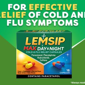 Lemsip Max Day & Night -16 caps